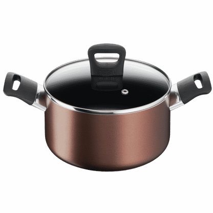 Nồi Tefal 20cm Day By Day Stew Pot G1434406