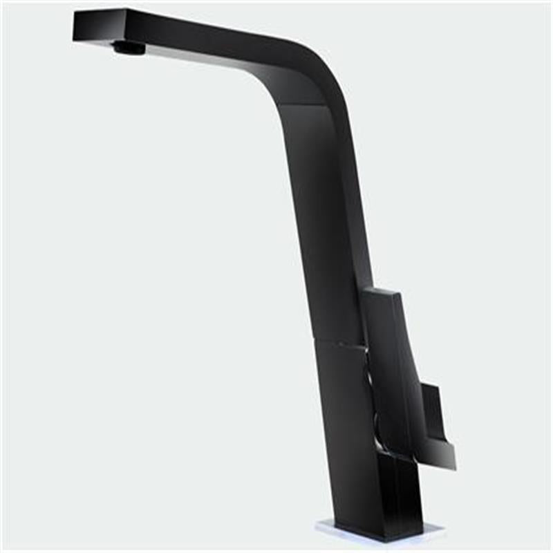 Vòi rửa bát TEKA ICON BLACK