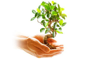 Hiệu quả năng lượng