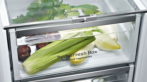 Hộp thủy tinh HydroFresh