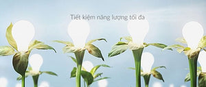 Tiêu thụ năng lượng