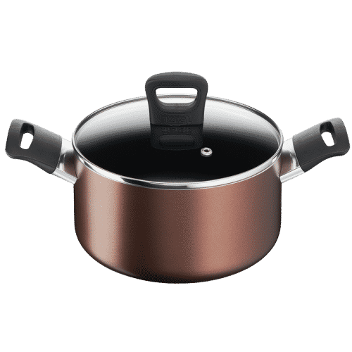 Nồi Tefal 20cm Day By Day Stew Pot G1434406